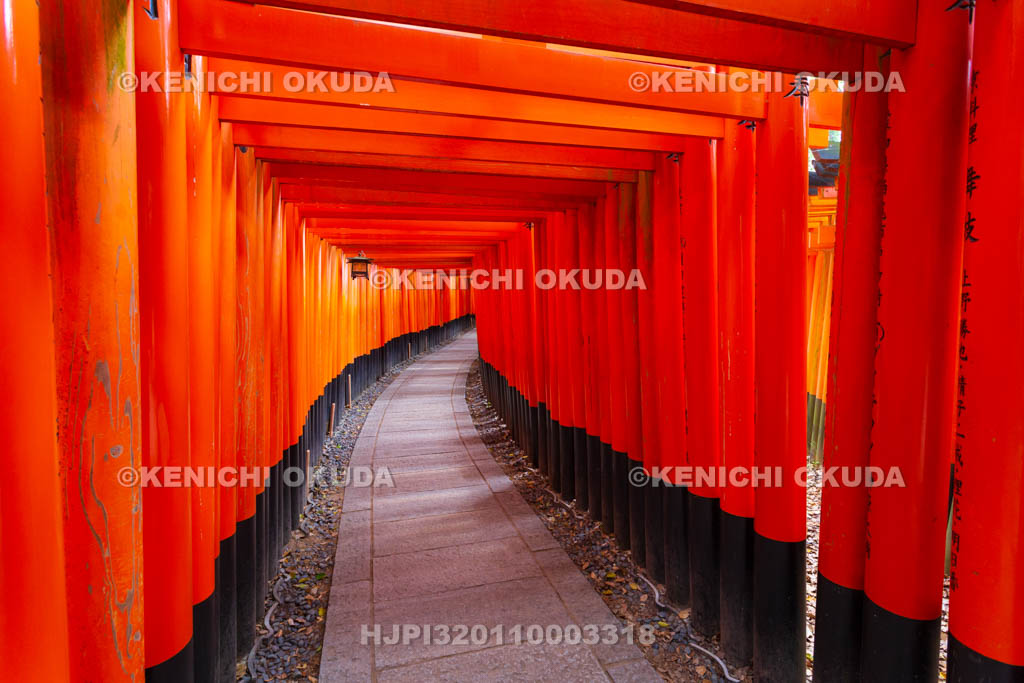 京都府　伏見稲荷大社　千本鳥居（奥の院参道）