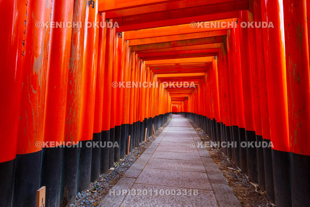 京都府　伏見稲荷大社　千本鳥居（奥の院参道）