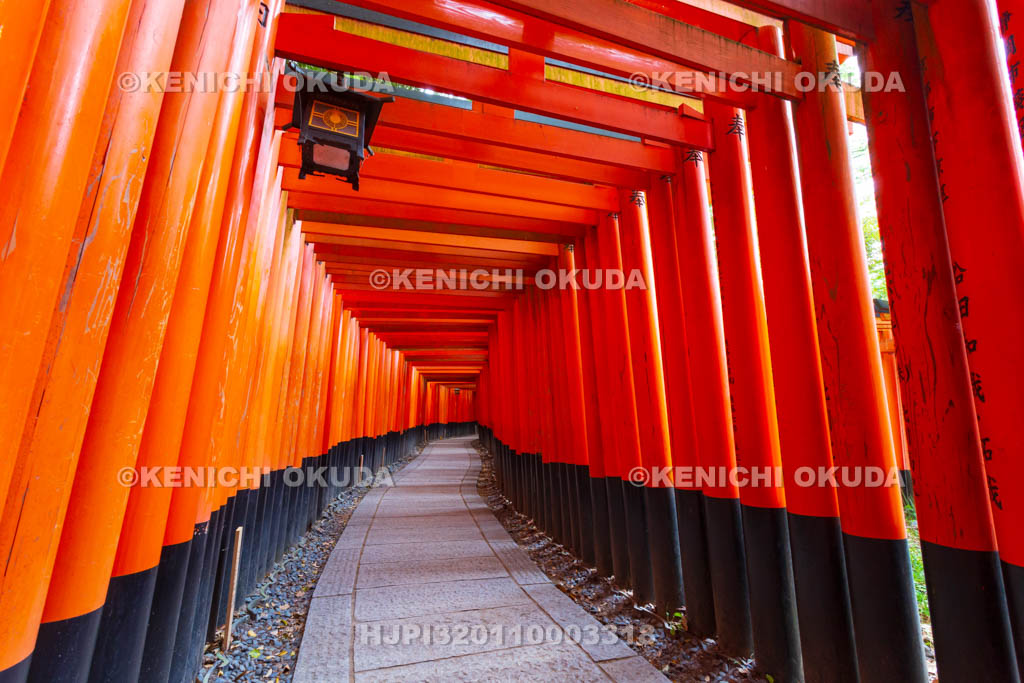 京都府　伏見稲荷大社　千本鳥居（奥の院参道）