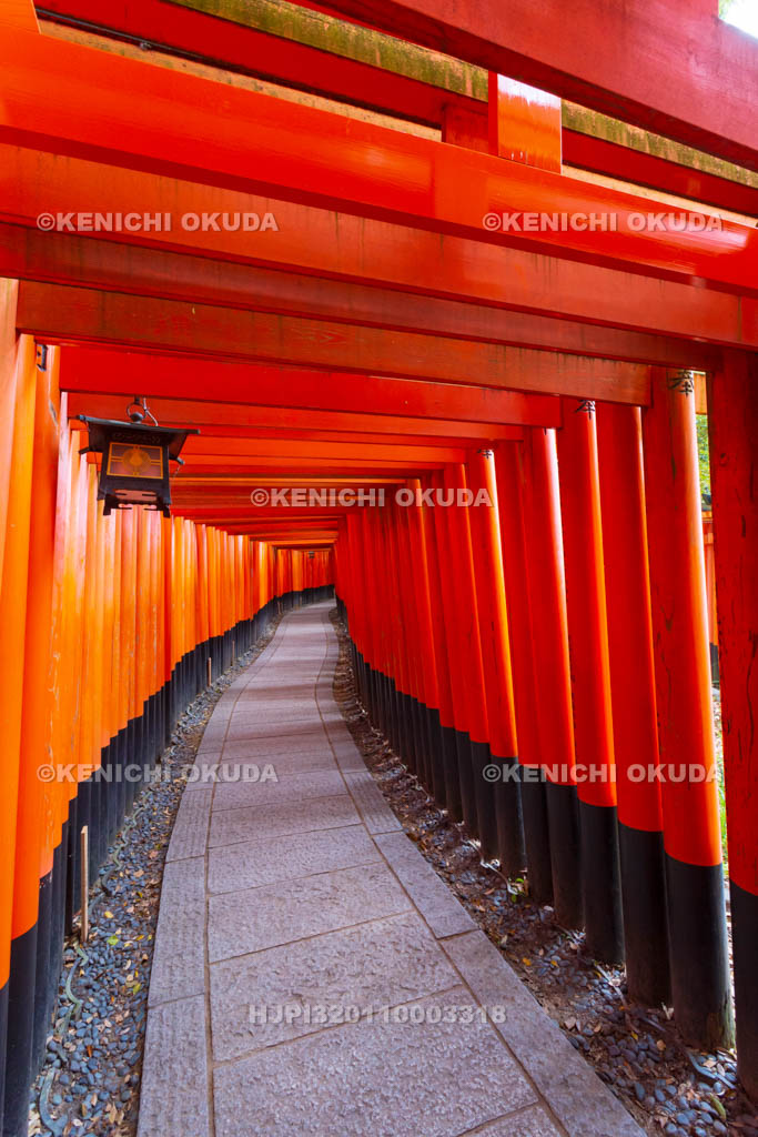 京都府　伏見稲荷大社　千本鳥居（奥の院参道）