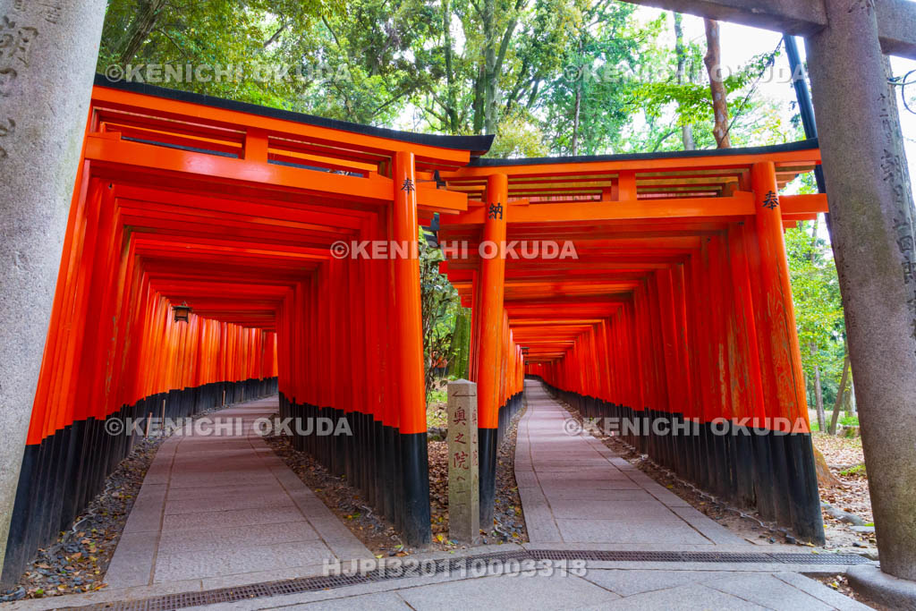 京都府　伏見稲荷大社　千本鳥居（奥の院参道）