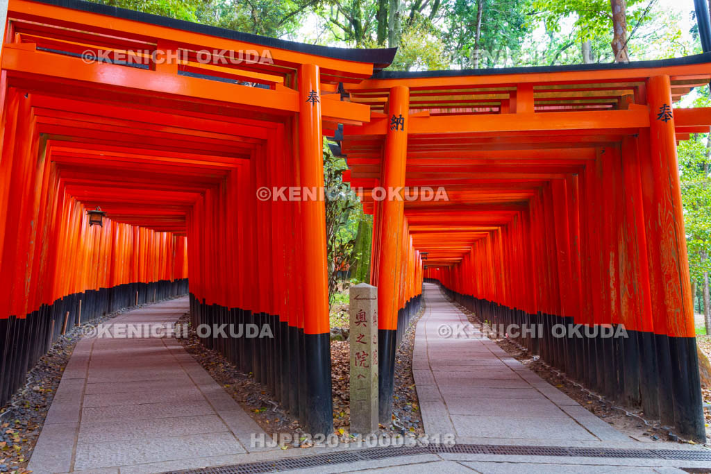 京都府　伏見稲荷大社　千本鳥居（奥の院参道）