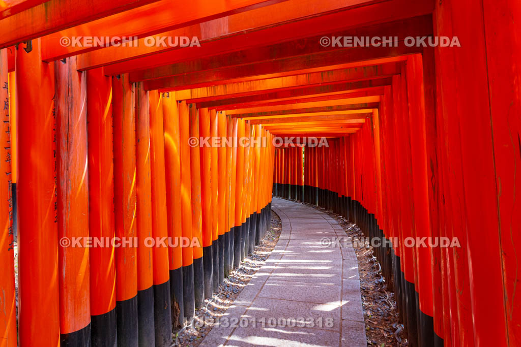 京都府　伏見稲荷大社　千本鳥居（奥の院参道）