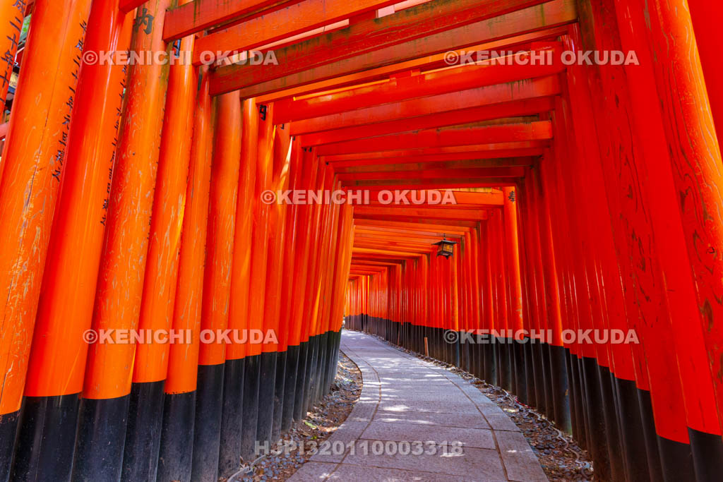 京都府　伏見稲荷大社　千本鳥居（奥の院参道）