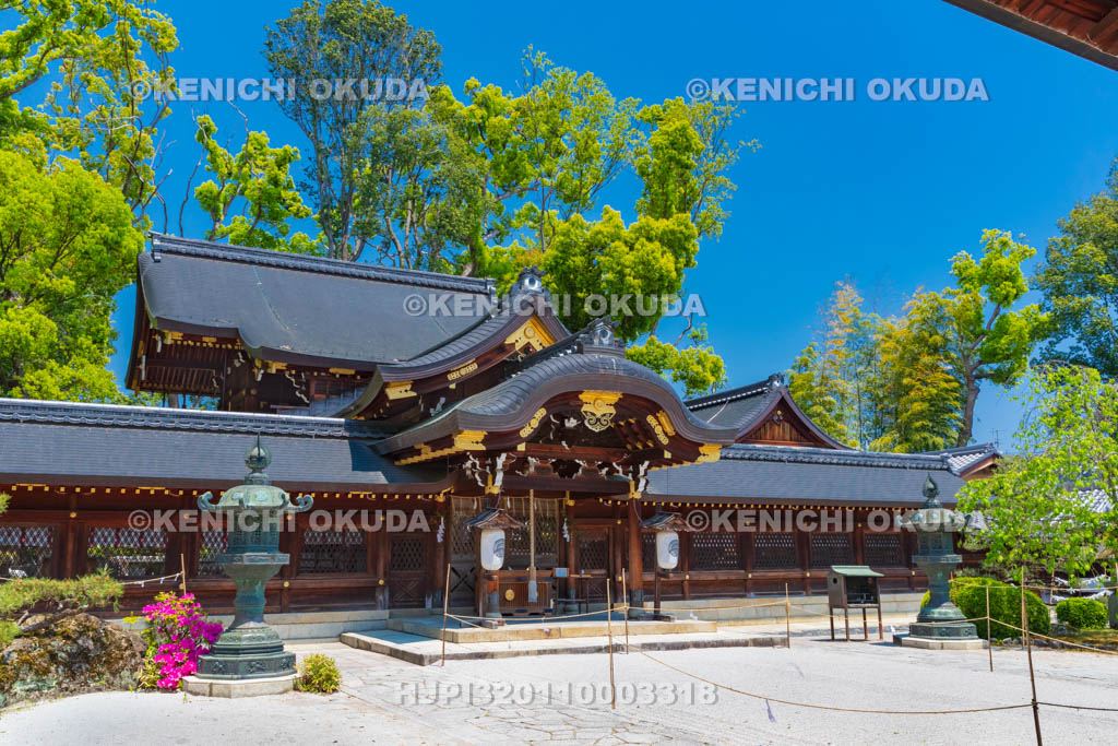 京都府 今宮神社 本社