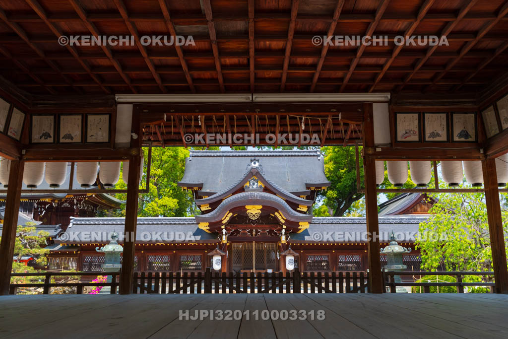 京都府　今宮神社　拝殿から望む本社