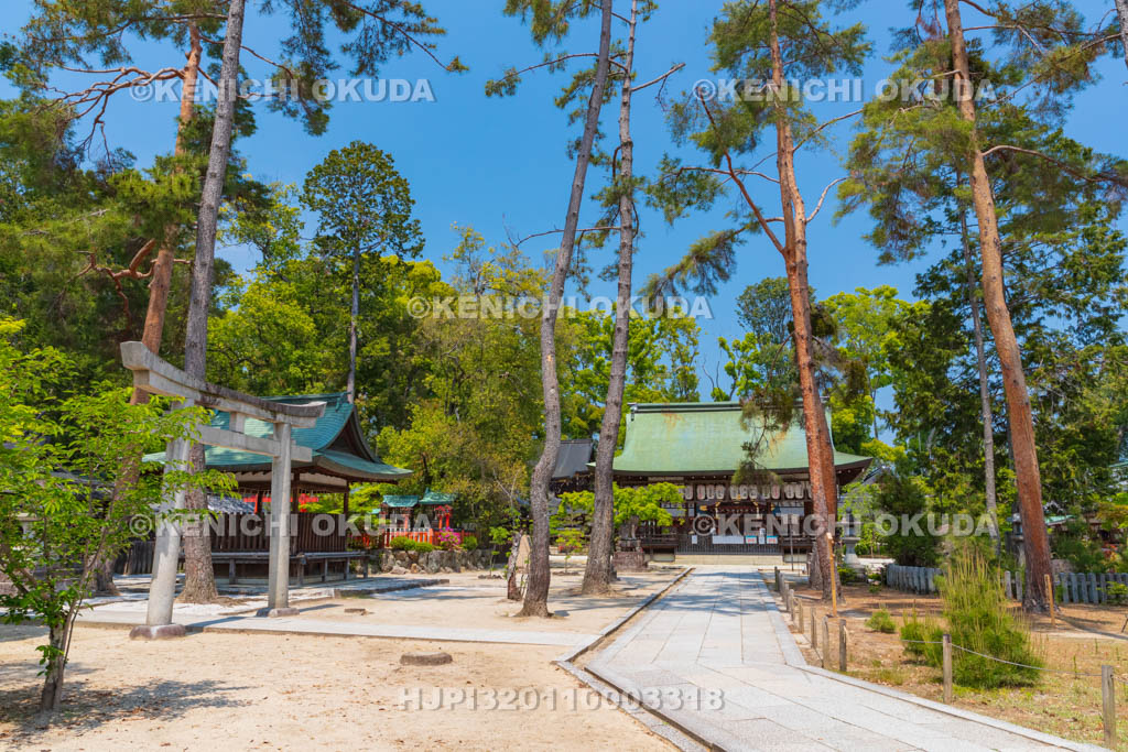 京都府　今宮神社