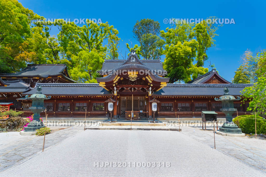 京都府 今宮神社 本社