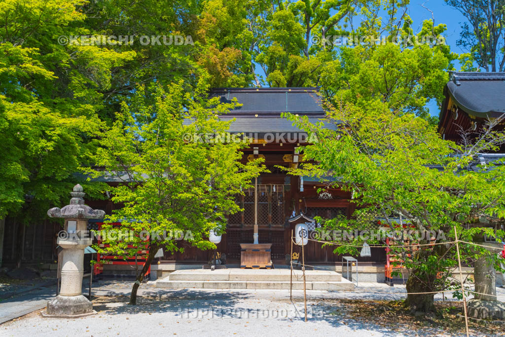 京都府 今宮神社 疫社