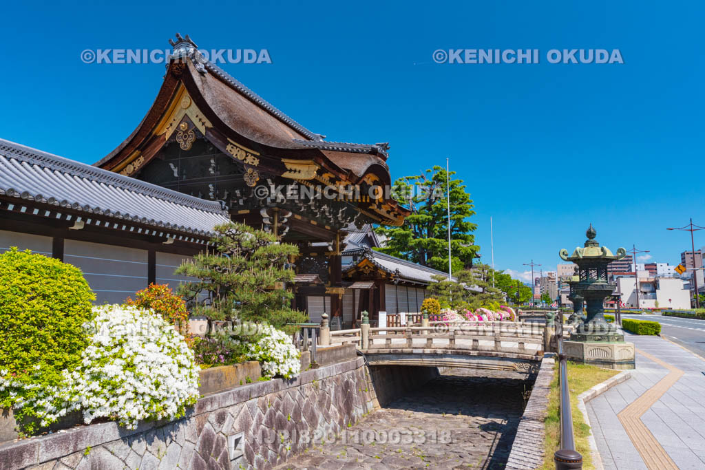 京都府　西本願寺　ツツジと阿弥陀堂門