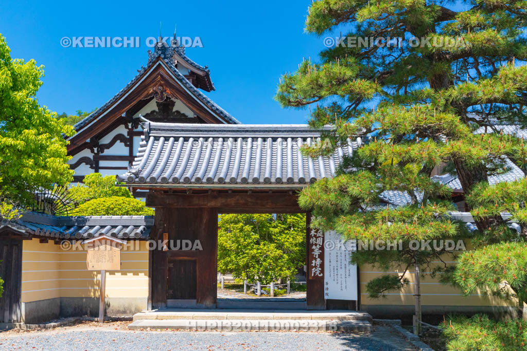 京都府 等持院 山門