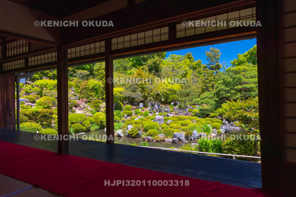 京都府　等持院　方丈から望む庭園