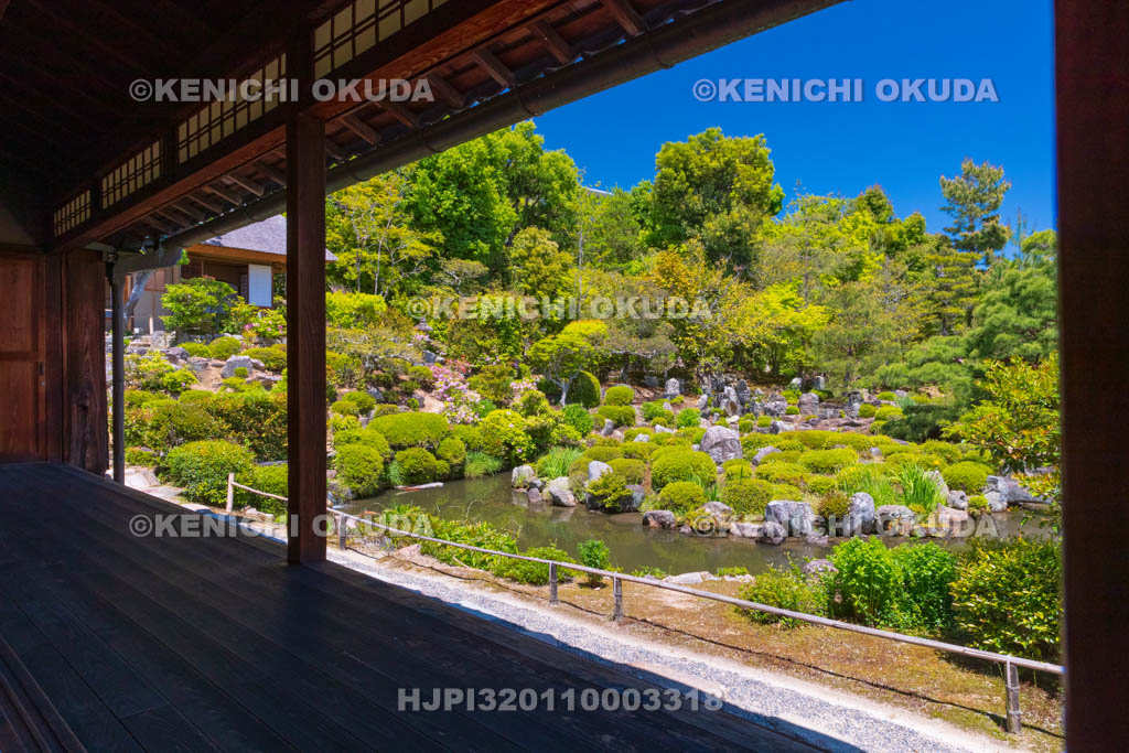 京都府 等持院 方丈から望む庭園