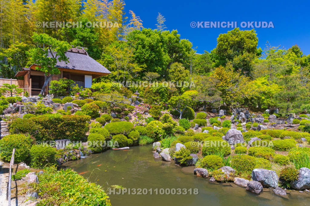 京都府　等持院　庭園と清漣亭