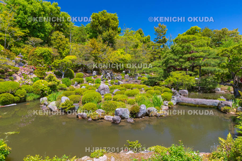 京都府　等持院　庭園