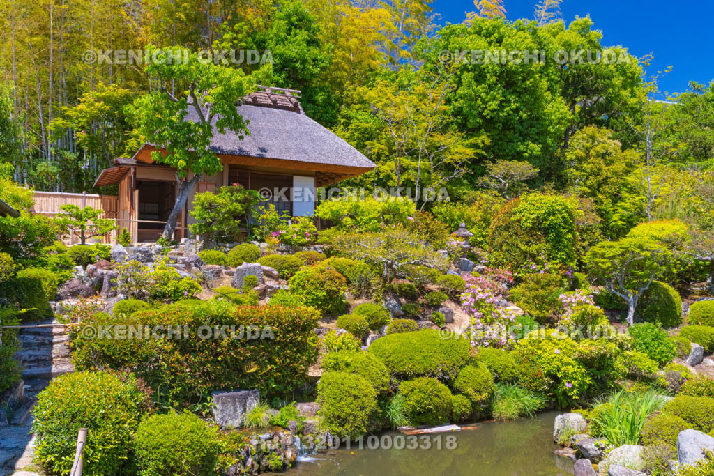 京都府 等持院 庭園と清漣亭