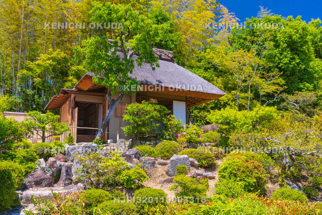 京都府　等持院　庭園と清漣亭