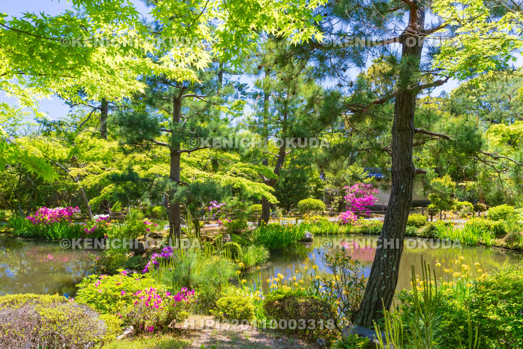 京都府　等持院　庭園