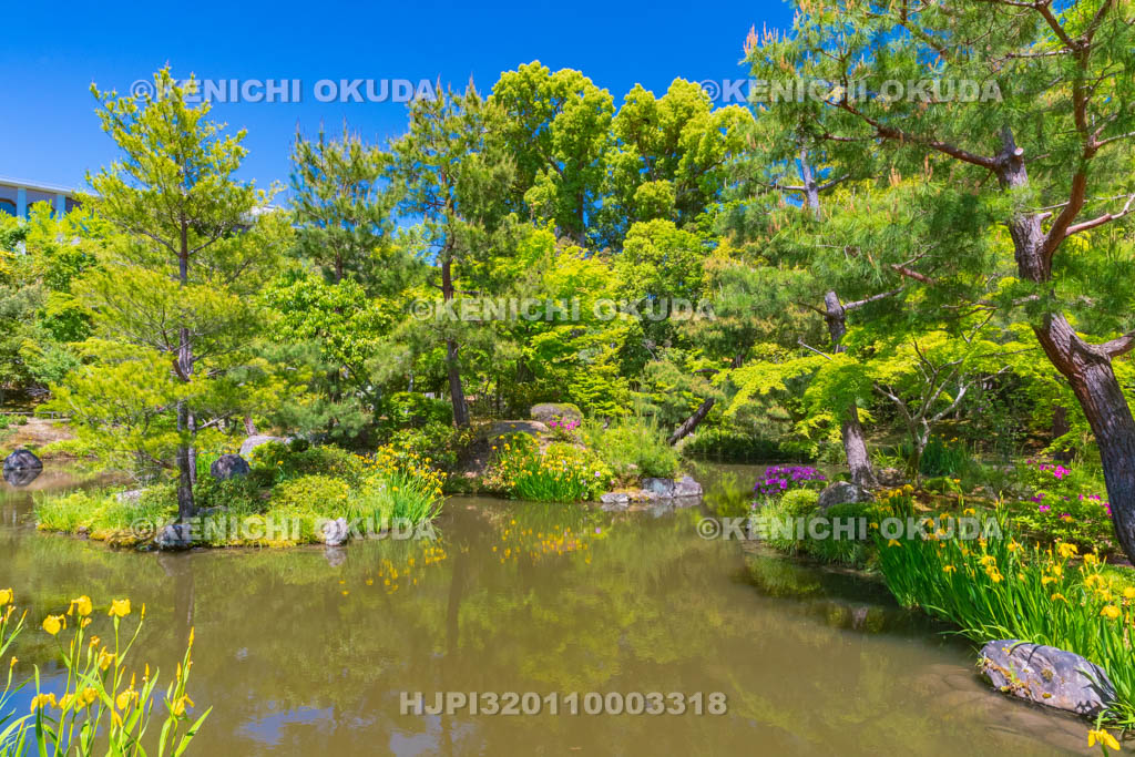 京都府　等持院　庭園