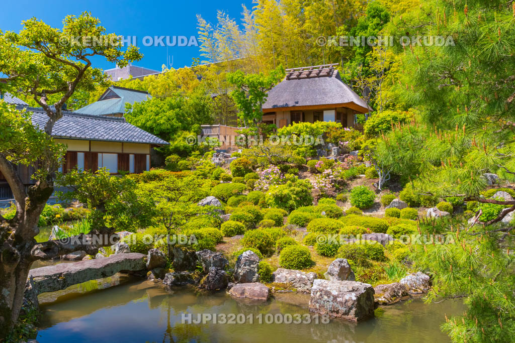 京都府 等持院 庭園と清漣亭