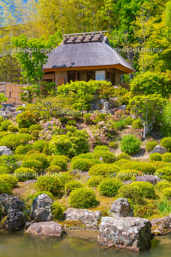 京都府 等持院 庭園と清漣亭