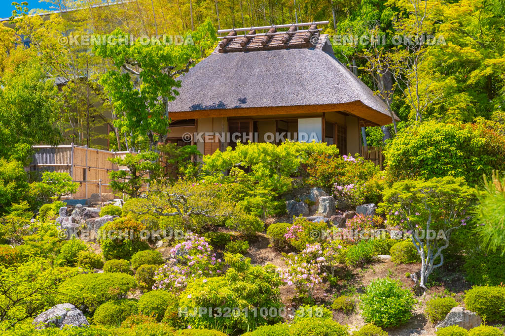 京都府 等持院 庭園と清漣亭