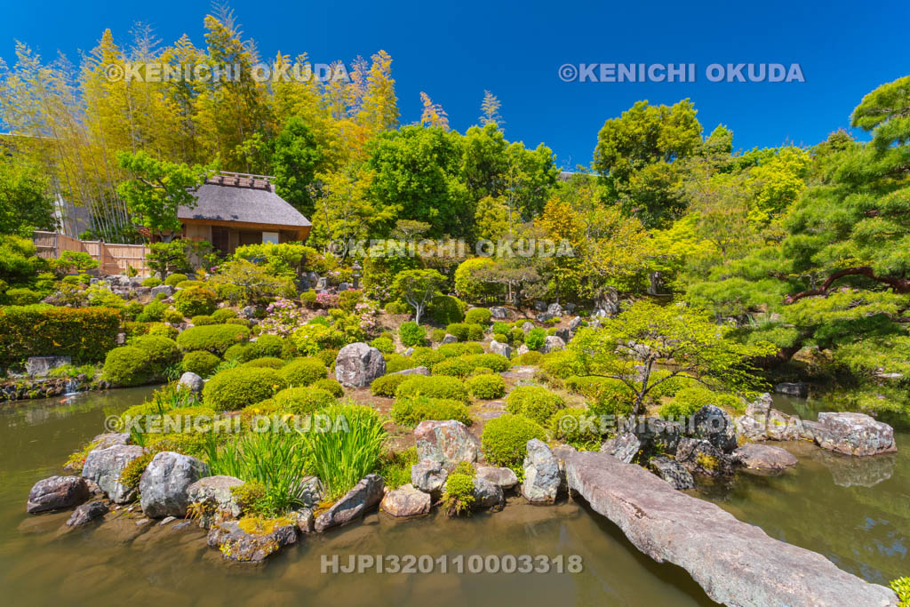 京都府 等持院 庭園と清漣亭