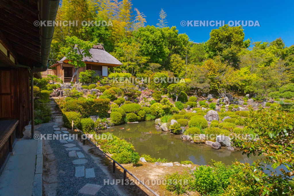 京都府　等持院　庭園と清漣亭