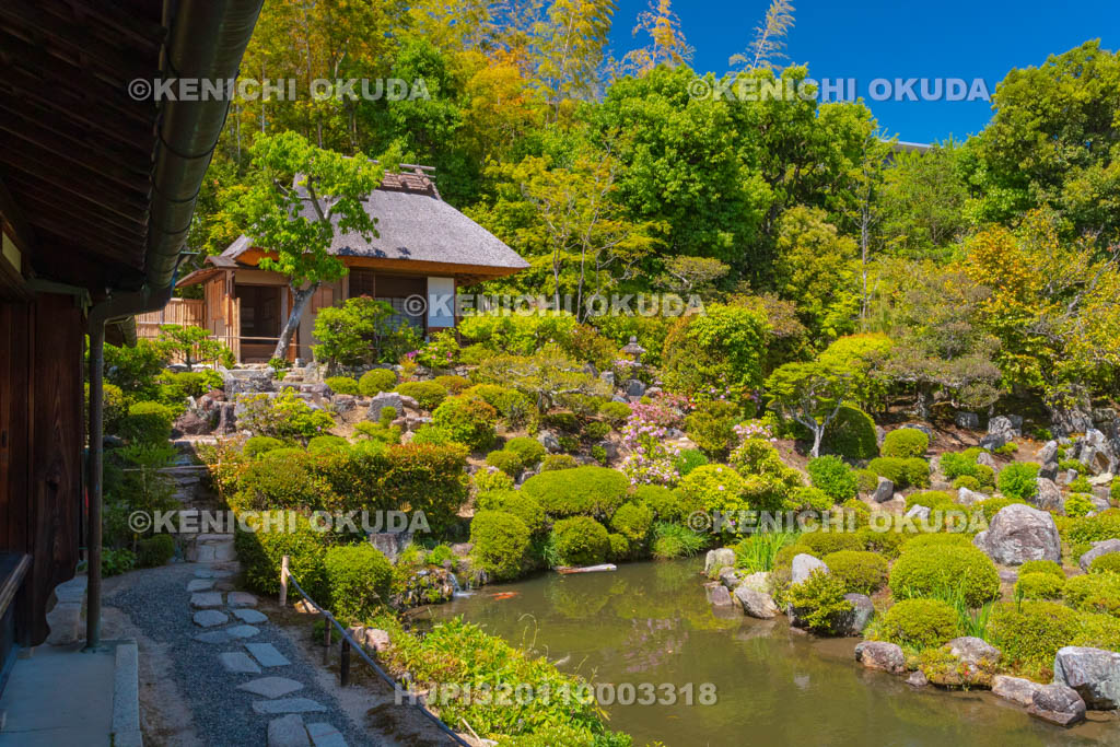 京都府　等持院　庭園と清漣亭