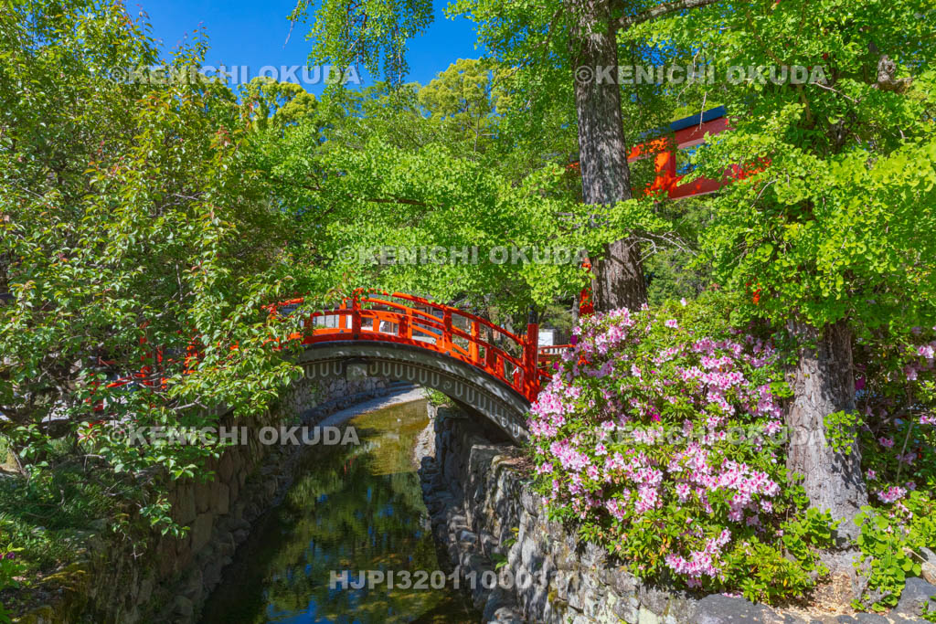 京都府　下鴨神社　ツツジと輪橋