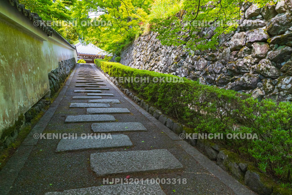 京都府　善峯寺　阿弥陀堂参道