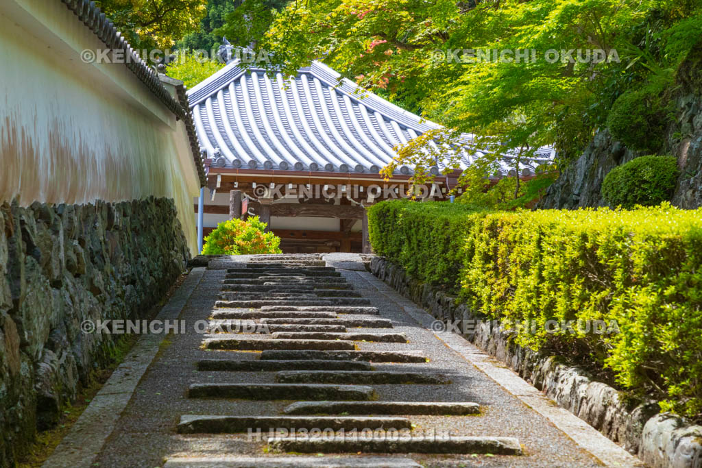 京都府　善峯寺　阿弥陀堂