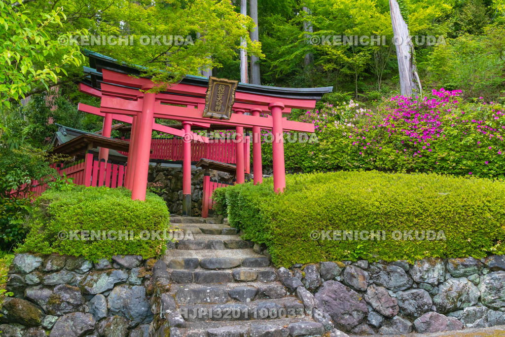 京都府　善峯寺　稲荷社