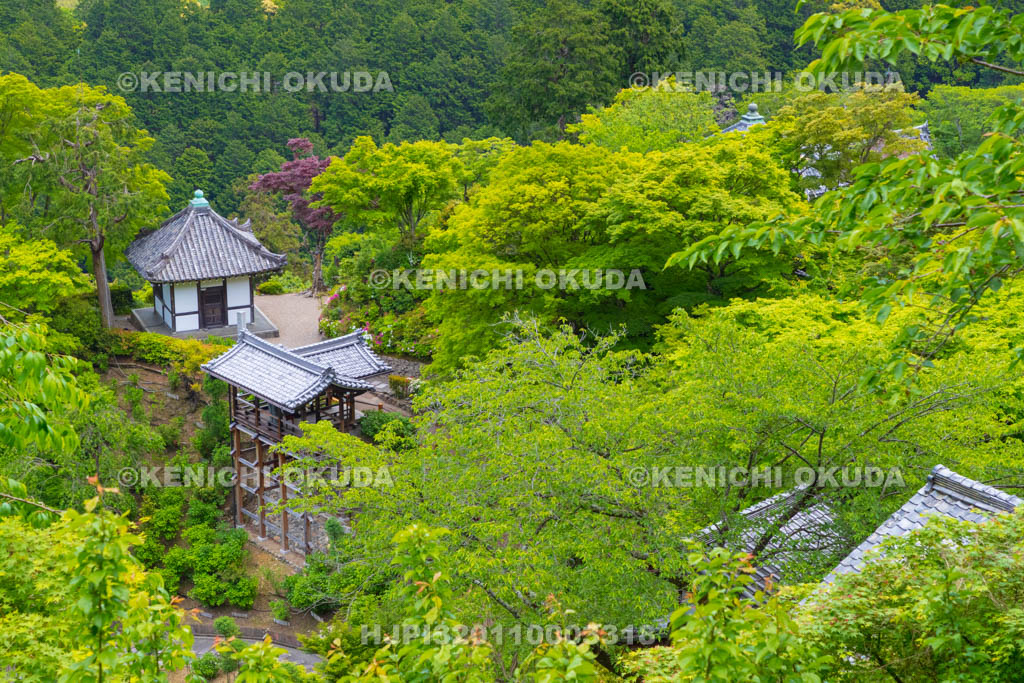京都府　善峯寺境内　開山堂ほか