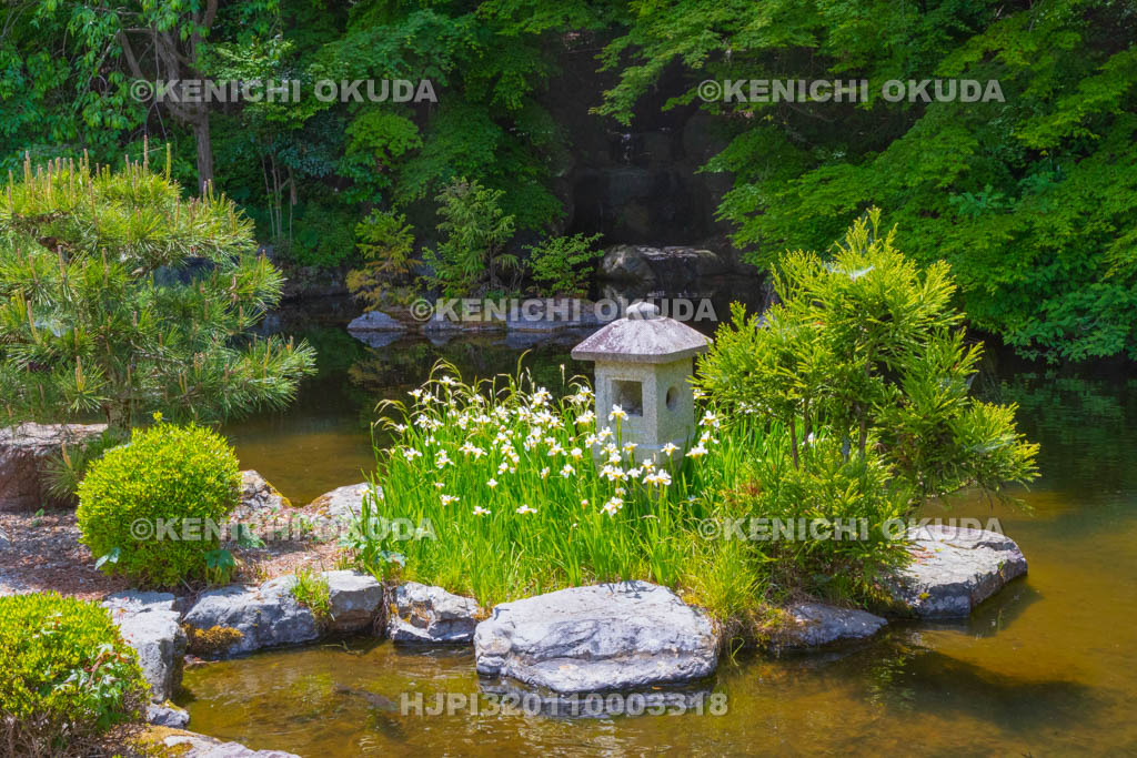 京都府　善峯寺　蓮華寿院旧跡庭