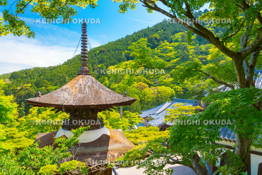 京都府　善峯寺境内　多宝塔ほか
