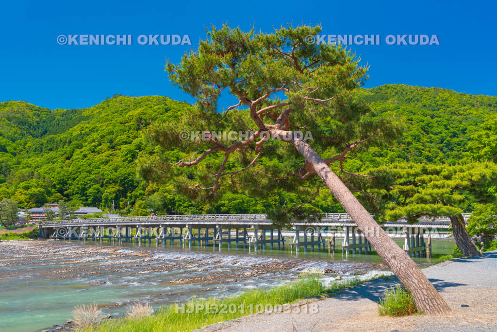 京都府 嵐山 渡月橋