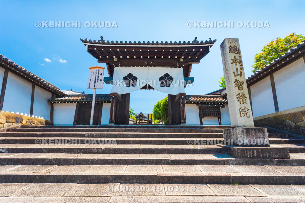京都府　智積院　総門