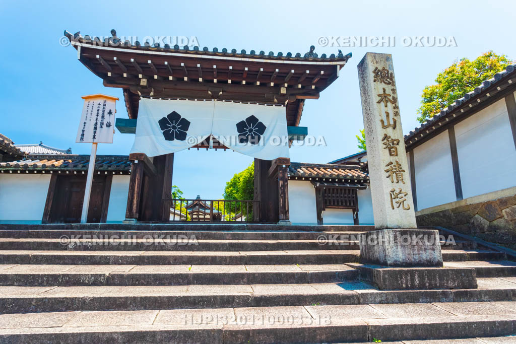 京都府　智積院　総門