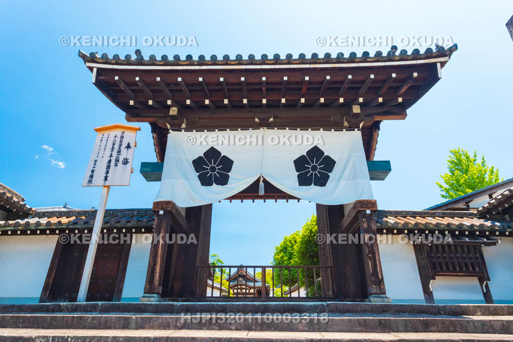 京都府　智積院　総門