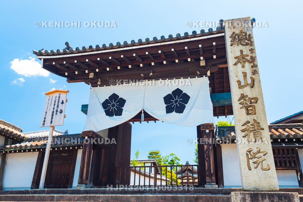 京都府　智積院　総門