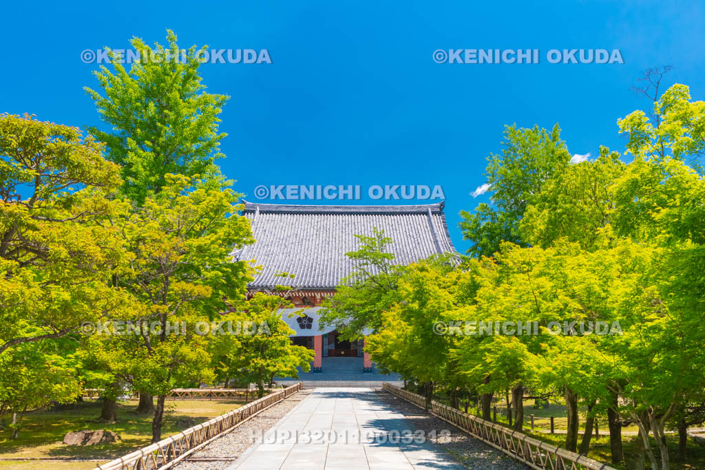 京都府　智積院　金堂