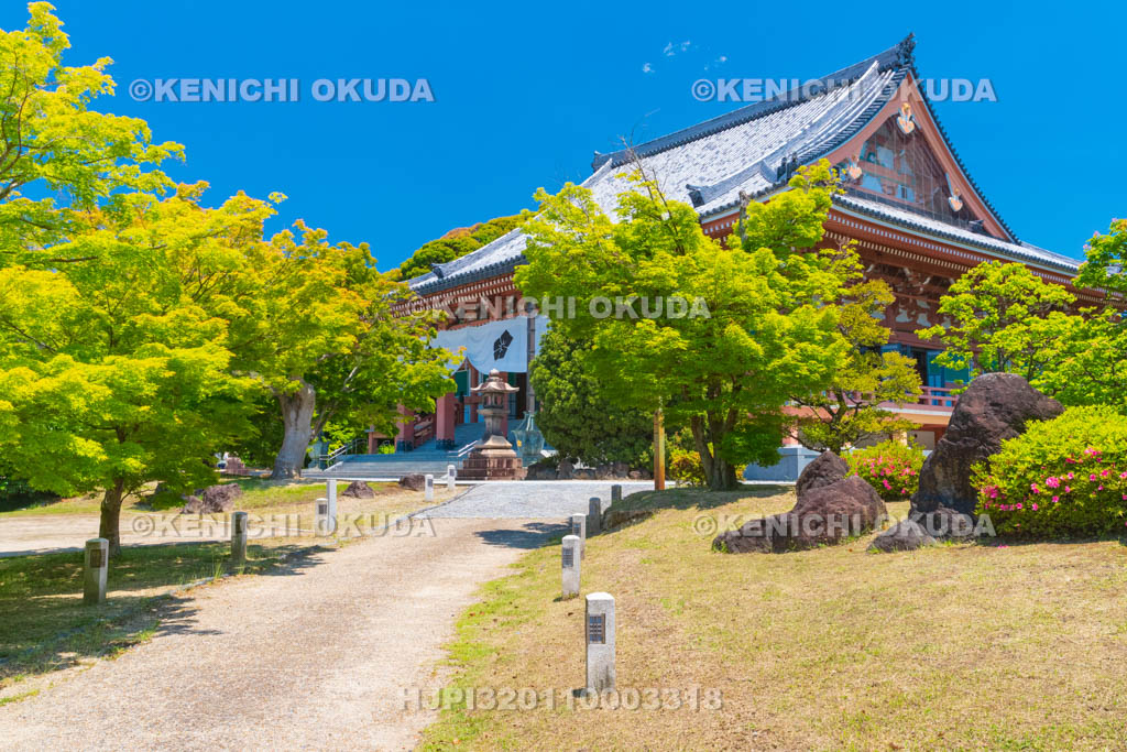 京都府　智積院　金堂