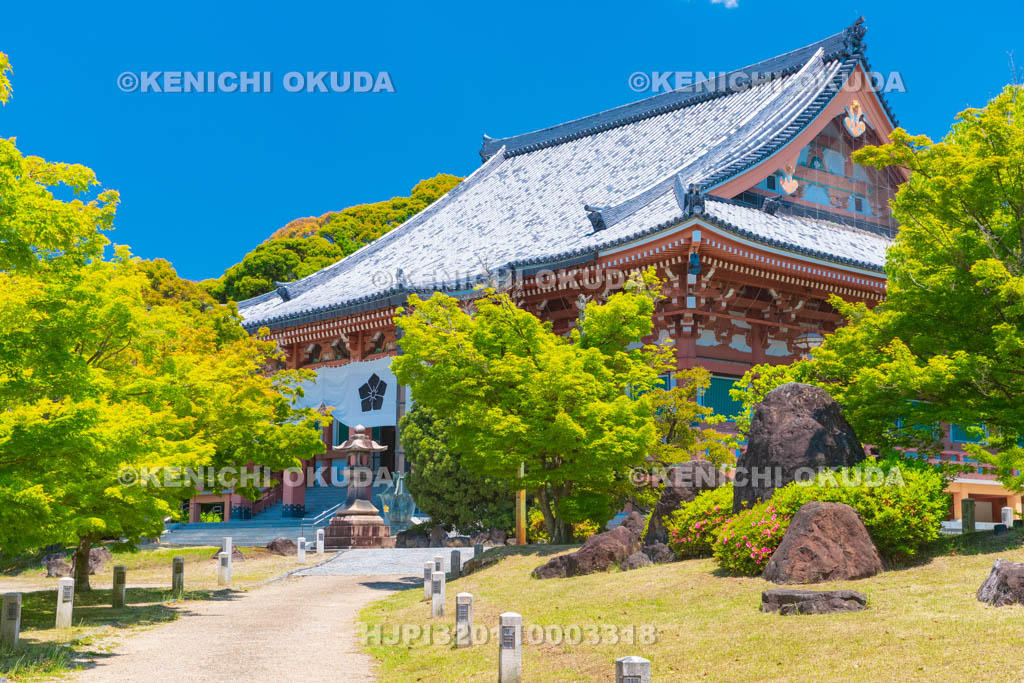 京都府　智積院　金堂