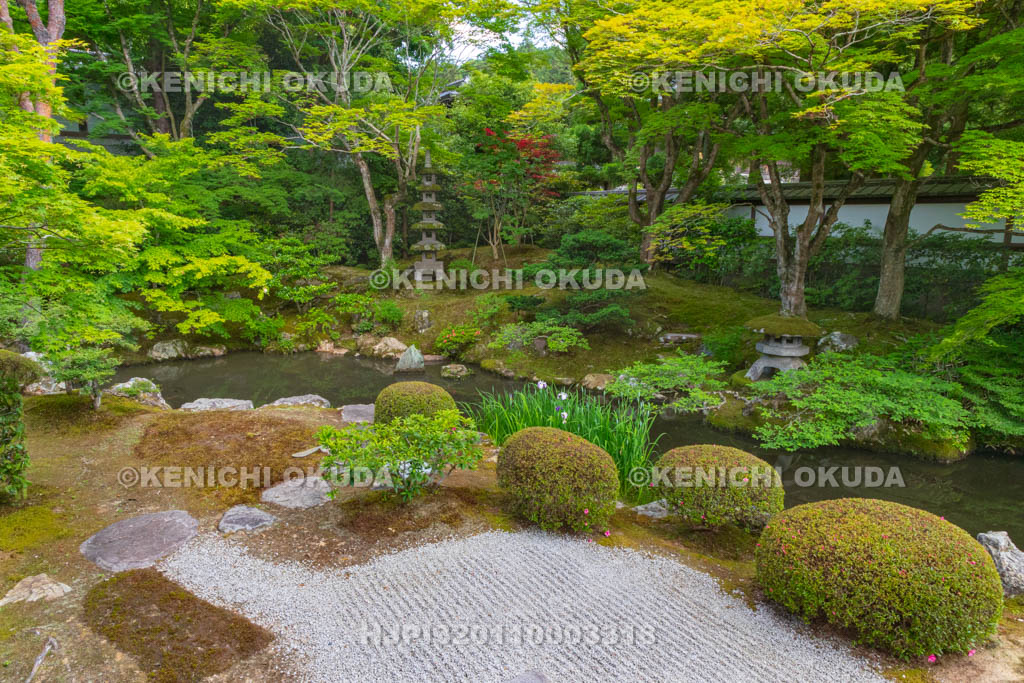 京都府　泉涌寺　御座所庭園