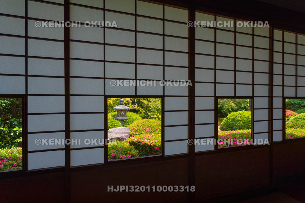 京都府　泉涌寺　雲龍院　蓮華の間とサツキ咲く庭園