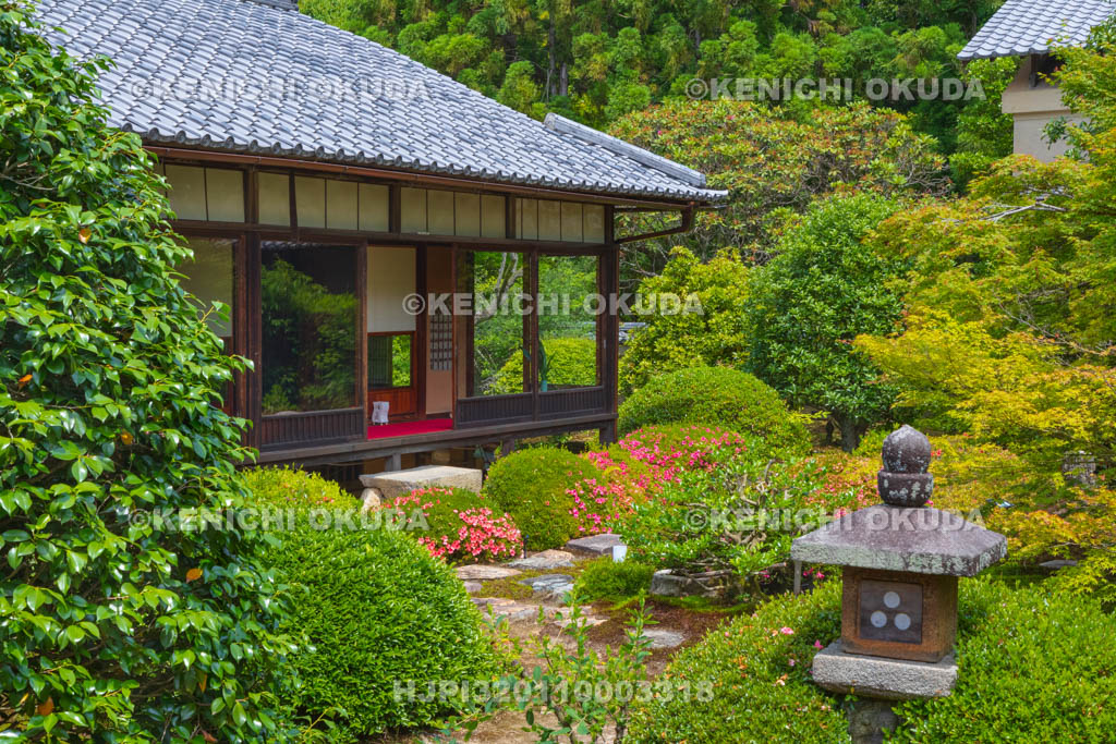 京都府　泉涌寺　雲龍院　書院とサツキ咲く庭園