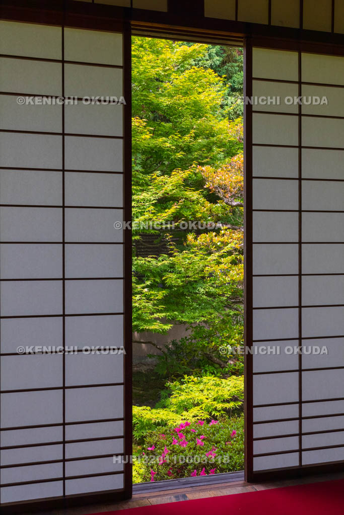 京都府　泉涌寺　雲龍院　悟りの間と新緑の庭園