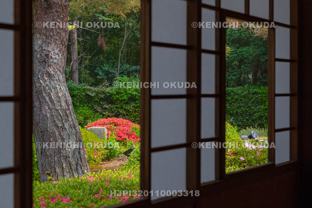 京都府　泉涌寺　雲龍院　サツキ咲く庭園　蓮華の間から望む