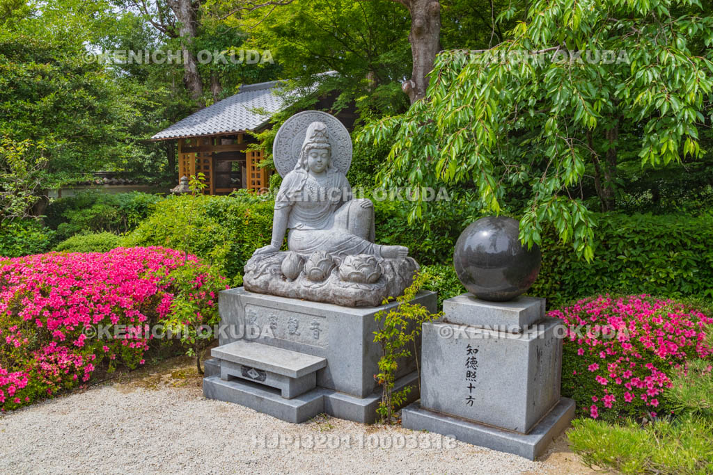 京都府　泉涌寺　雲龍院　衆宝観音とサツキ